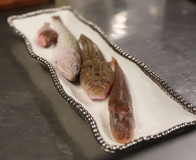 Plat de poisson restaurant Méditerranée Port-La Nouvelle